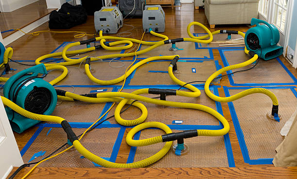Professional Water Damage Repair technician working in Redgranite, WI